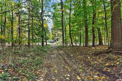 Professionally staked and secluded 175 acre retreat including 1 - photo 20