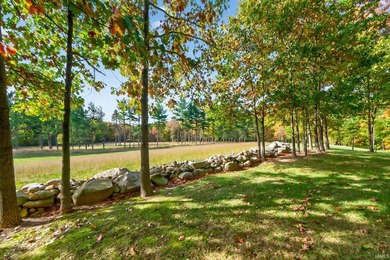 Professionally staked and secluded 175 acre retreat including 1 - photo 31