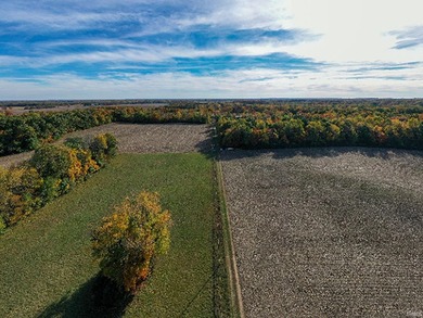 Professionally staked and secluded 175 acre retreat including 1 - photo 33