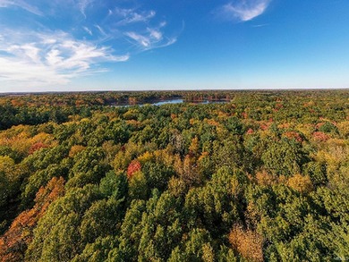 Professionally staked and secluded 175 acre retreat including 1 - photo 36