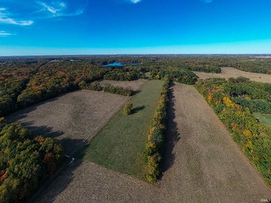 Professionally staked and secluded 175 acre retreat including 1 - photo 39