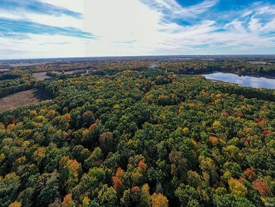 Professionally staked and secluded 175 acre retreat including 1 - photo 42