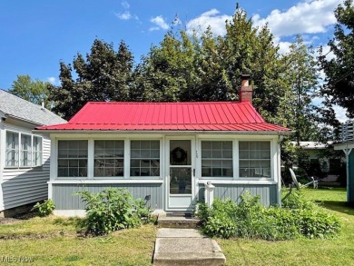 Lake Erie - Ashtabula County Home For Sale in Ashtabula Ohio