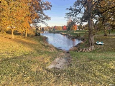 (private lake, pond, creek) Acreage For Sale in Groveland Illinois