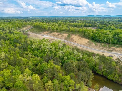 Exceptional 1 acre homesite in Rocky Point Estates, a new - photo 19