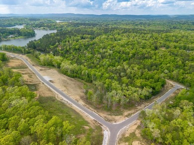 Exceptional 1 acre homesite in Rocky Point Estates, a new - photo 21