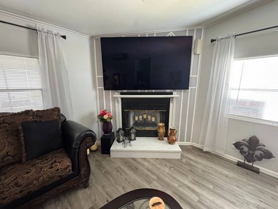 Beautiful Mobile Home in a Family-Friendly Community in Tampa - photo 22