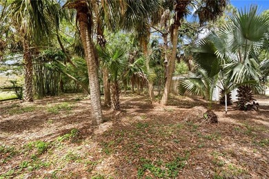 Country Cutie! Lovely 3 bed 2 bath lake front home situated on - photo 38