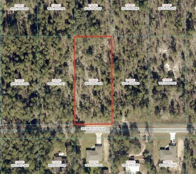 Lake Lot For Sale in Dunnellon, Florida