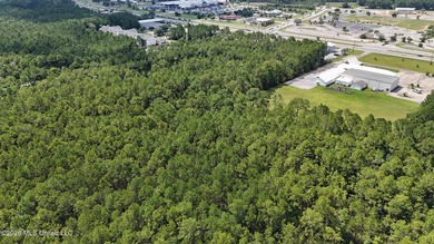 This listing has 2 parcels of land. One has a survey. The one - photo 5