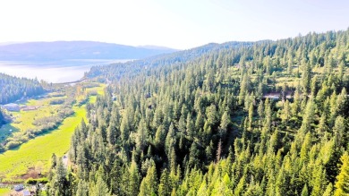 Lake Acreage For Sale in Harrison, Idaho