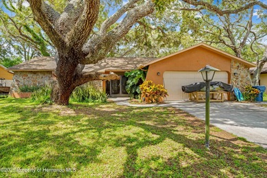 Greenbriar Lake Home For Sale in Spring Hill Florida