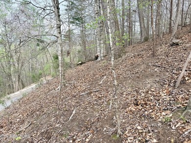 Lot 77 Grandpas Ridge is a highly private 1.05 acre corner - photo 11