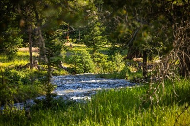 Welcome to the Two Feathers Ranch located outside Darby, Montana - photo 11