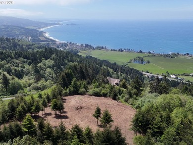 Exceptional opportunity to own 1.38 acres in Brookings, perched - photo 11