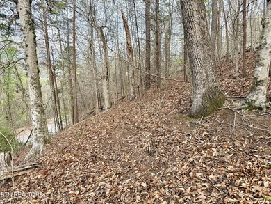 Lot 77 Grandpas Ridge is a highly private 1.05 acre corner - photo 12