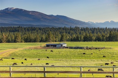 Welcome to the Two Feathers Ranch located outside Darby, Montana - photo 12