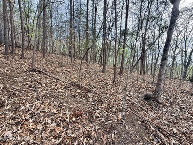 Lot 77 Grandpas Ridge is a highly private 1.05 acre corner - photo 13