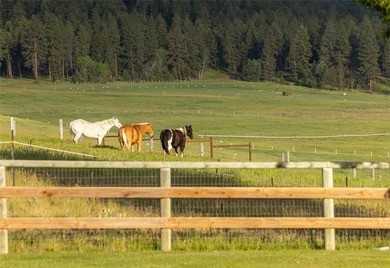 Welcome to the Two Feathers Ranch located outside Darby, Montana - photo 13