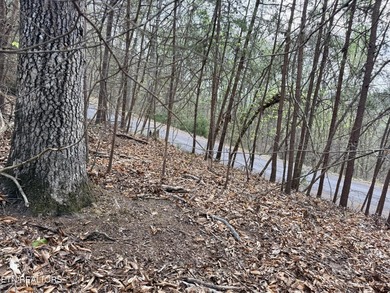 Lot 77 Grandpas Ridge is a highly private 1.05 acre corner - photo 14