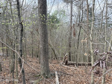 Lot 77 Grandpas Ridge is a highly private 1.05 acre corner - photo 15