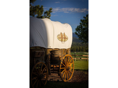 Welcome to the Two Feathers Ranch located outside Darby, Montana - photo 15