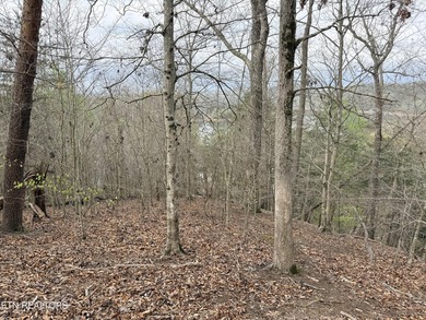 Lot 77 Grandpas Ridge is a highly private 1.05 acre corner - photo 16
