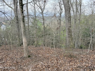 Lot 77 Grandpas Ridge is a highly private 1.05 acre corner - photo 17