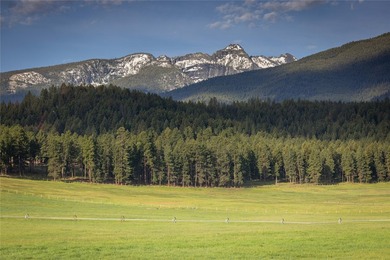 Welcome to the Two Feathers Ranch located outside Darby, Montana - photo 17
