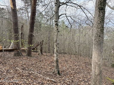 Lot 77 Grandpas Ridge is a highly private 1.05 acre corner - photo 18