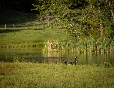 Welcome to the Two Feathers Ranch located outside Darby, Montana - photo 18