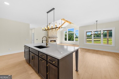 NOW IS THE PERFECT TIME TO LIVE THE DREAM ON BEAUTIFUL LAKE - photo 19