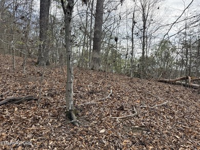 Lot 77 Grandpas Ridge is a highly private 1.05 acre corner - photo 19