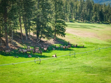 Welcome to the Two Feathers Ranch located outside Darby, Montana - photo 19