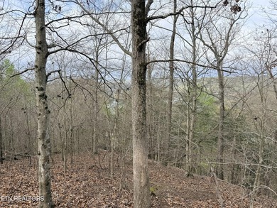 Lot 77 Grandpas Ridge is a highly private 1.05 acre corner - photo 20