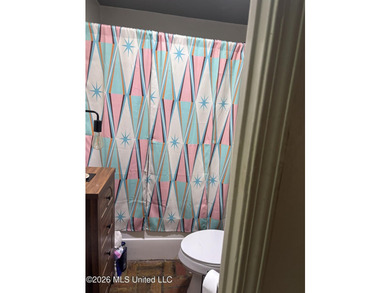 Investor Special with Three Income-Producing Units on Two - photo 10