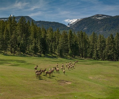 Welcome to the Two Feathers Ranch located outside Darby, Montana - photo 20