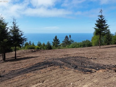 Exceptional opportunity to own 1.38 acres in Brookings, perched - photo 20