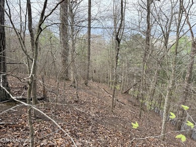 Lot 77 Grandpas Ridge is a highly private 1.05 acre corner - photo 21