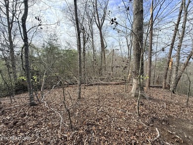 Lot 77 Grandpas Ridge is a highly private 1.05 acre corner - photo 22