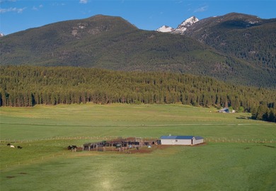 Welcome to the Two Feathers Ranch located outside Darby, Montana - photo 22