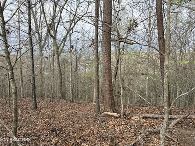 Lot 77 Grandpas Ridge is a highly private 1.05 acre corner - photo 23