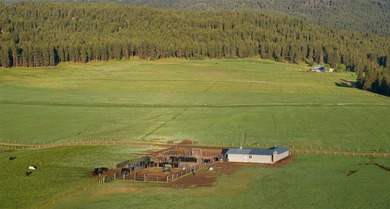 Welcome to the Two Feathers Ranch located outside Darby, Montana - photo 23