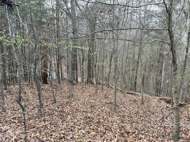 Lot 77 Grandpas Ridge is a highly private 1.05 acre corner - photo 24