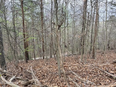 Lot 77 Grandpas Ridge is a highly private 1.05 acre corner - photo 25