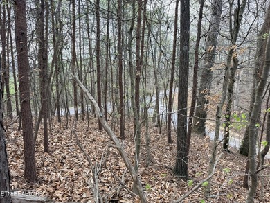 Lot 77 Grandpas Ridge is a highly private 1.05 acre corner - photo 26