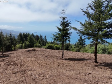 Exceptional opportunity to own 1.38 acres in Brookings, perched - photo 26