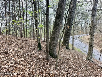 Lot 77 Grandpas Ridge is a highly private 1.05 acre corner - photo 27