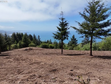 Exceptional opportunity to own 1.38 acres in Brookings, perched - photo 27