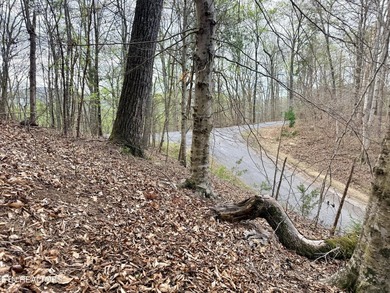Lot 77 Grandpas Ridge is a highly private 1.05 acre corner - photo 28